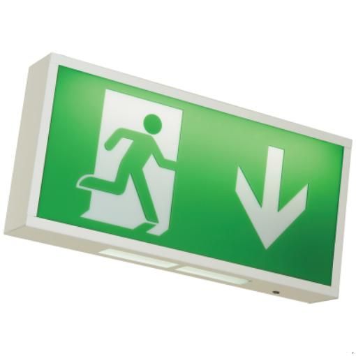 Picture of Ansell AWLED/L/AD Legend Arrow Down | Emergency Lighting